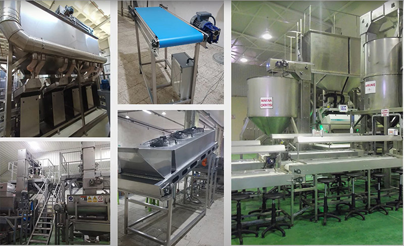 Kuruyemiş ve Kuru Meyve işleme makine ve sistemleri